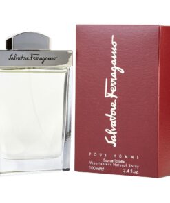 SALVATORE FERRAGAMO POUR HOMME 100 ML EDT